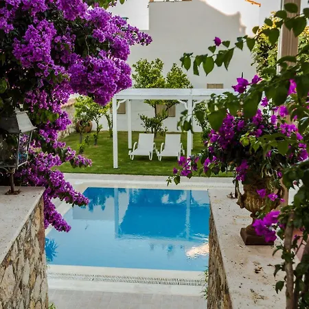 Ipekyol Avec Piscine Privee Vila